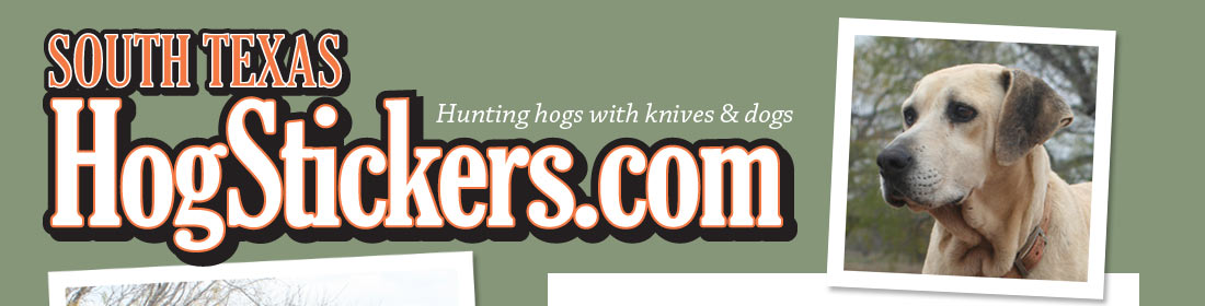 Hogstickers: Hunting Hogs with Knives and Dogs