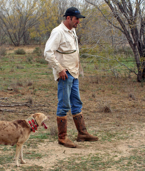 Hogstickers hunt, January, 2012 - image