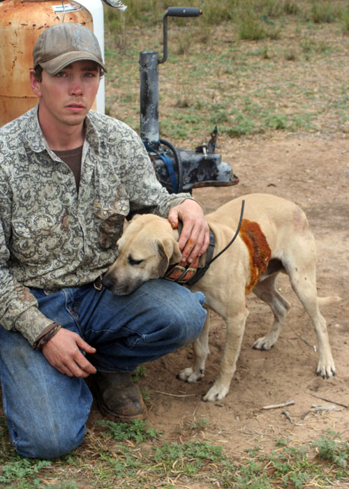 Hogstickers hunt, January, 2012 - image