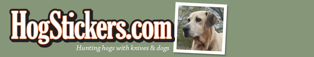 Join Hogstickers on a South Texas hog hunt today!