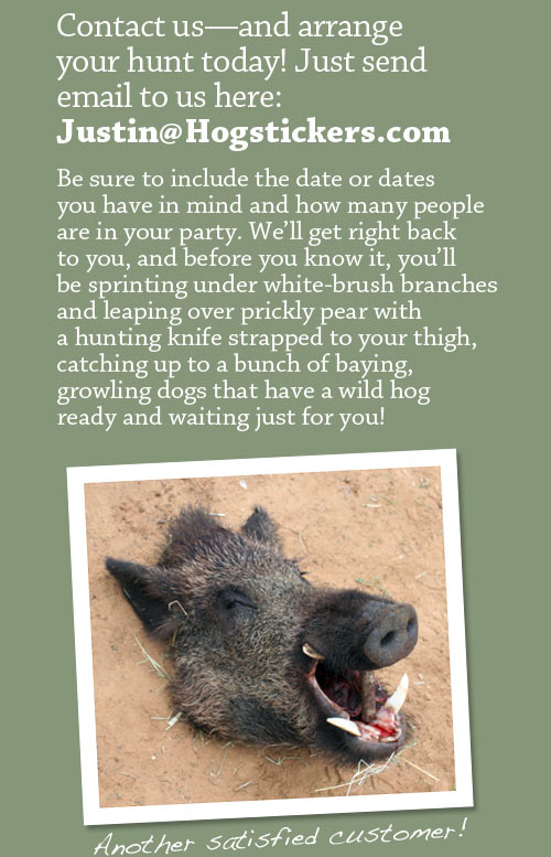 Contact Justin at Hogstickers today and arrange your hunt!